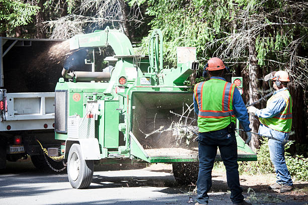 Mulching Services in Alamo Heights, TX